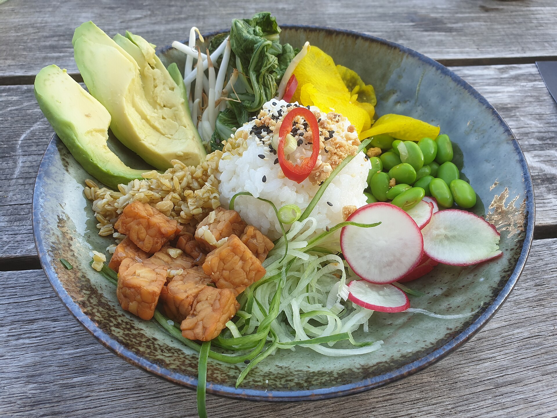 A grain bowl with herbs — the shape we pack, not a lifestyle plate from a studio.